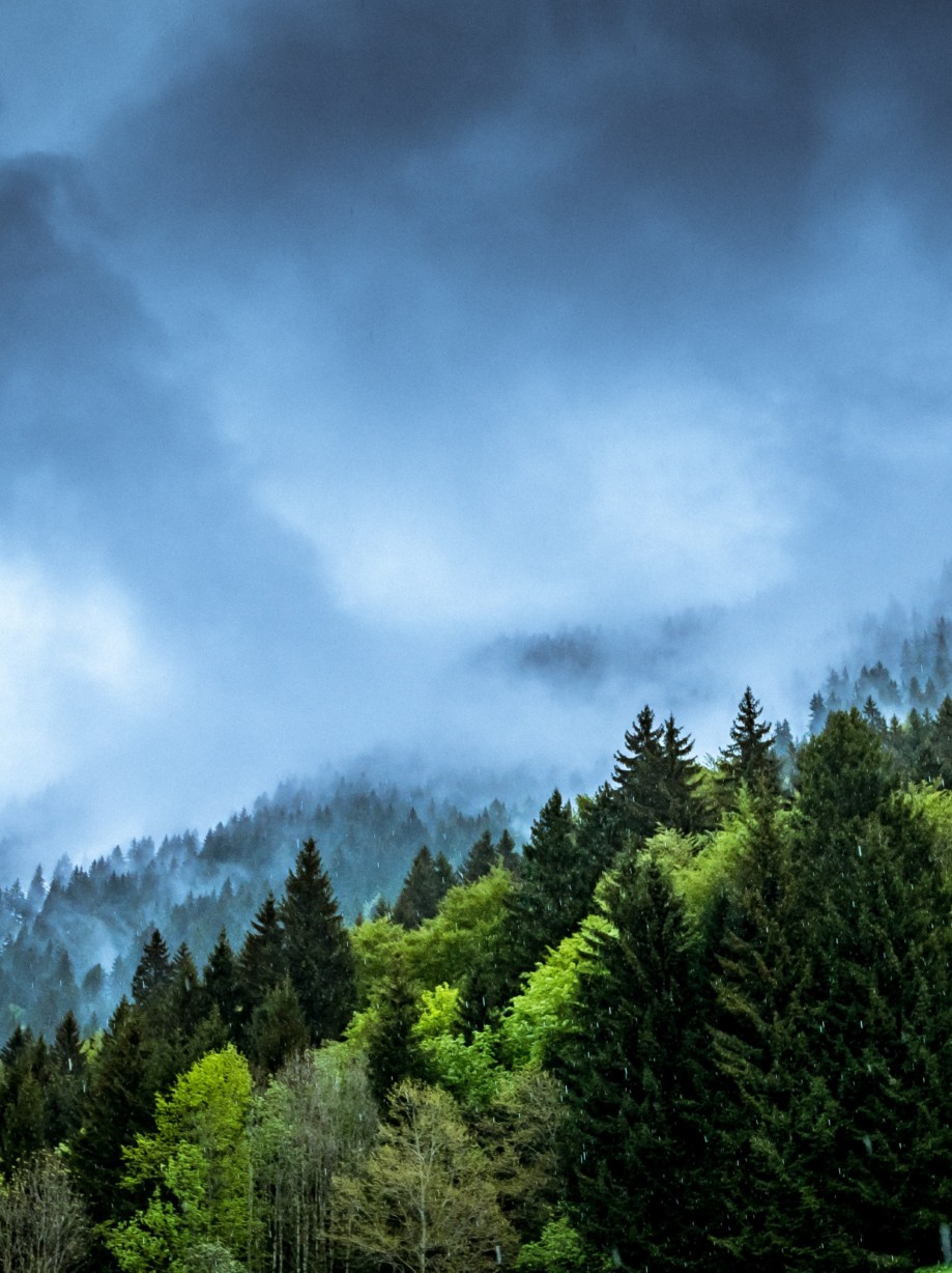 guy-bowden-lVDnLUACI18-unsplash